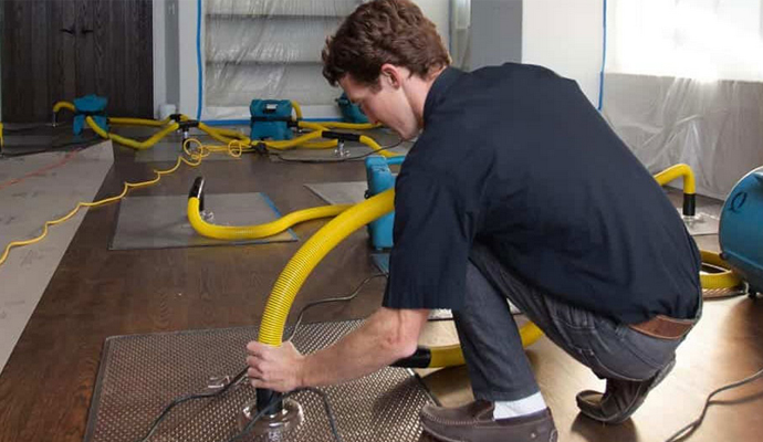 How Water Extraction Prevents Mould in Brisbane